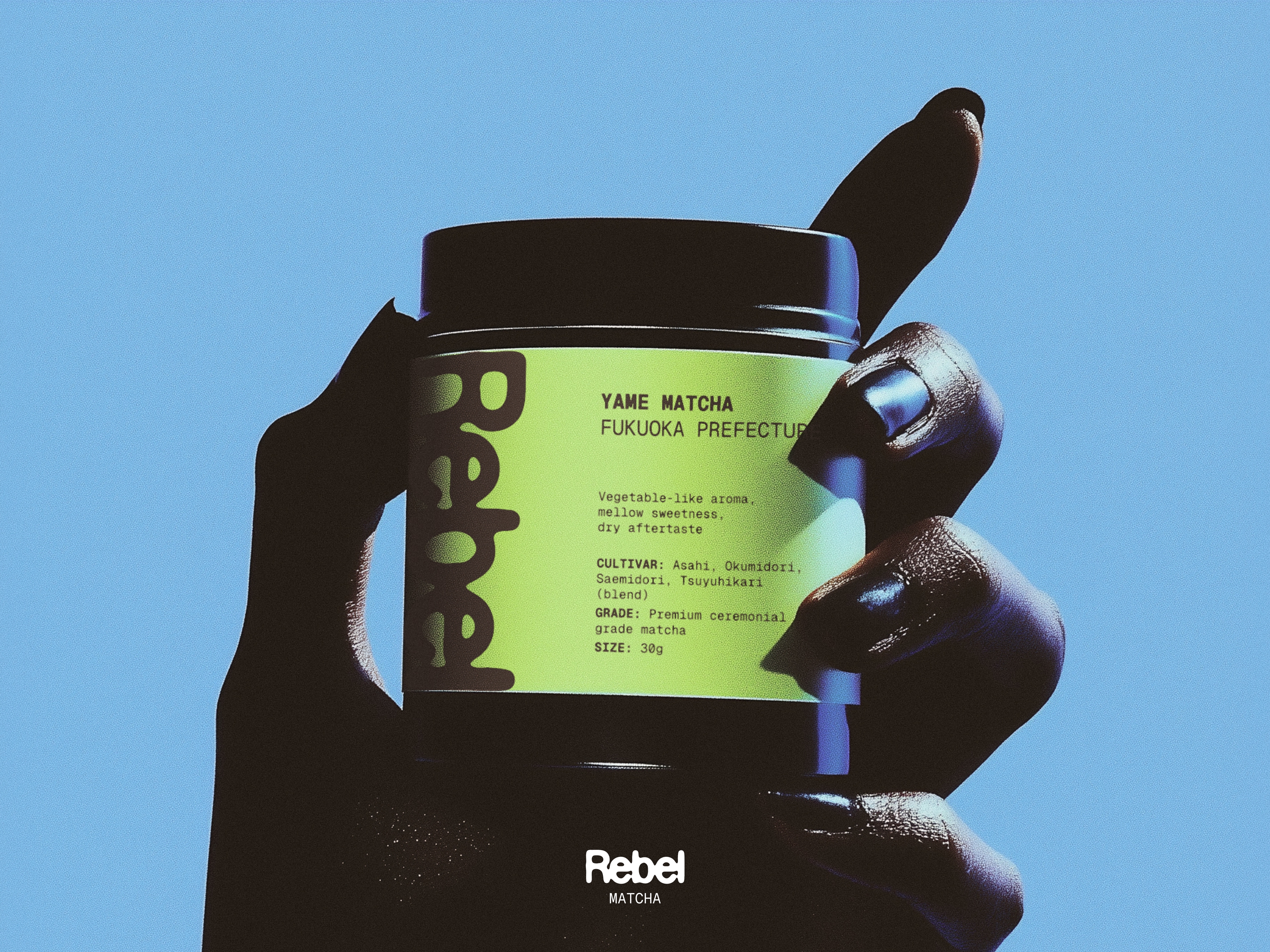 Visual Identity + Logo image 1